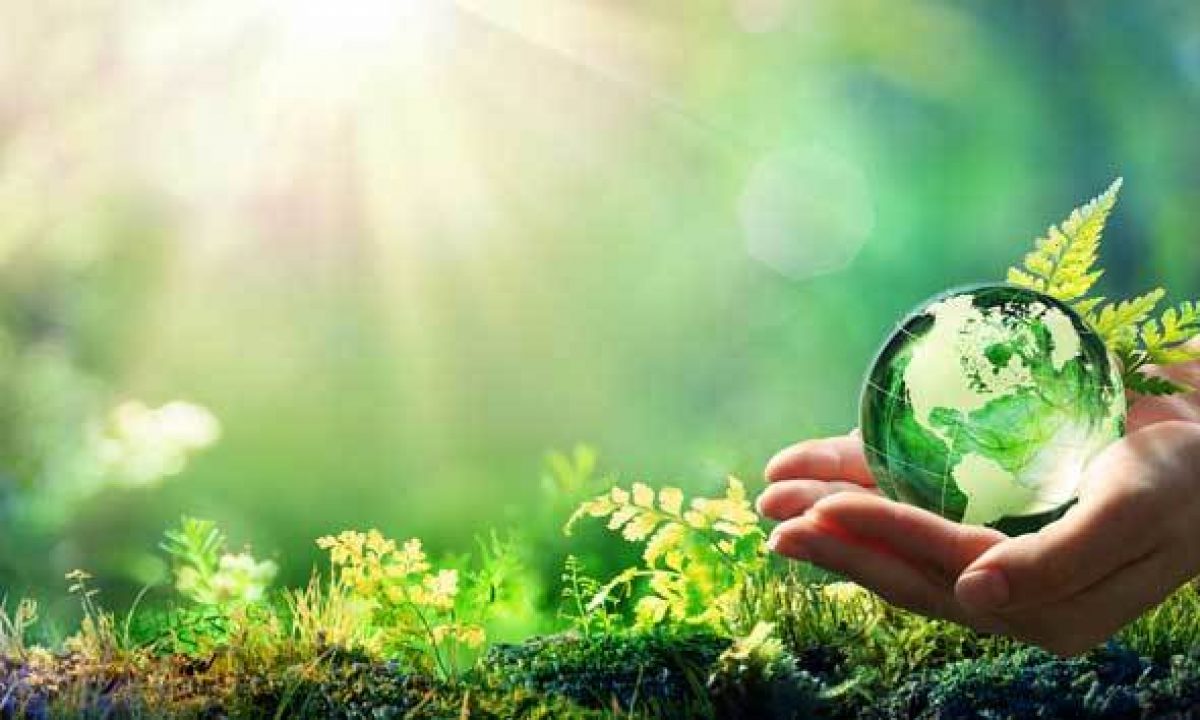 Green world — climate resilience and environmental sustainability